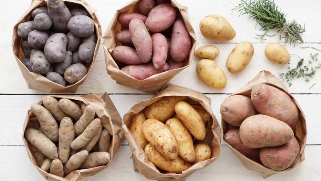 Types of Potatoes 