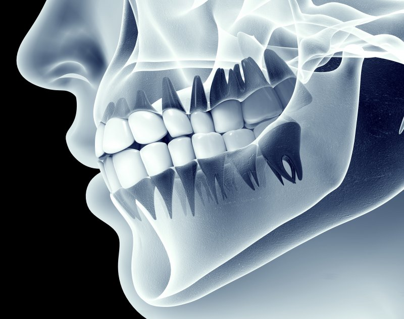 Composition of Teeth and Bones